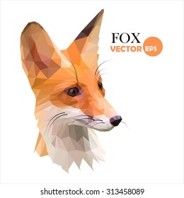 Fox. Red foxes low polygon style. abstract Fox isolated on white background, picture of a Fox can be used as a logo or icon. Fox sign vector illustration.