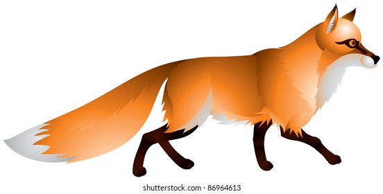 Fox with the red fur and a bushy tail, vector image  of the wild animal, Canidae family mammal