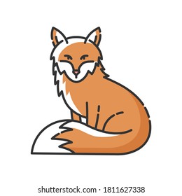 Fox RGB color icon. Cute animal with furry tail, common mammal, omnivore woodland creature. Forest wildlife, zoology. Adorable fox isolated vector illustration