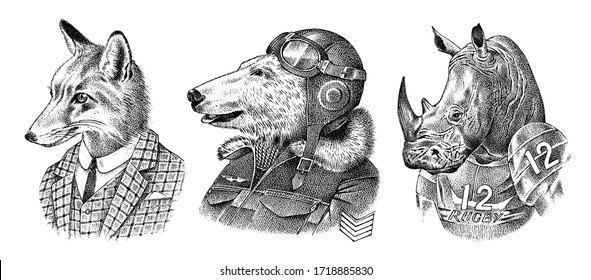 Fox and Rhino dressed up in Suit. Polar bear pilot. Fashion Animal characters. Hand drawn sketch. Vector engraved illustration for label, logo and T-shirts or tattoo.