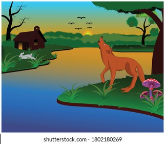 The fox scares the rabbit  at sunset 