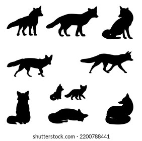 Fox set. Adults and foxes. Animal silhouette. Wild life picture. Isolated on white background. Vector.