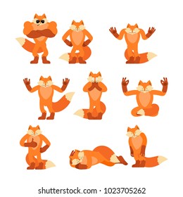 Fox set poses and motion. She-fox happy and yoga. Beast sleeping and angry. guilty and sad. Vector illustration