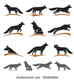 Fox set. Vector