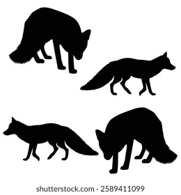 Fox Silhouette, Fox illustration, wolf icon Silhouette, wolf Silhouette illustration