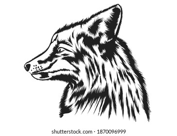 fox silhouette isolated on white background