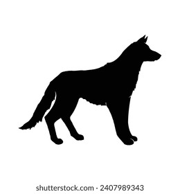 fox silhouette isolated on white background. Red Fox silhouette vector isolated. Omnivorous mammal or wild animal.