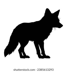 Fox Silhouette on White Background.