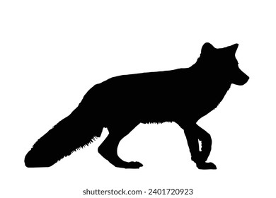 Fox Silhouette. Fox Vector Illustration.