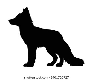Fox Silhouette. Fox Vector Illustration.