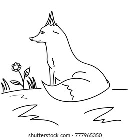 the fox sits on the grass
