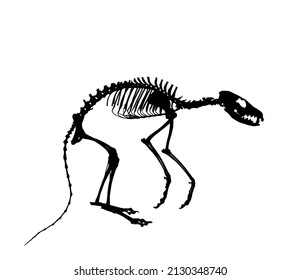 Fox skeleton vector silhouette illustration isolated on white background. Predator fossil symbol in museum of science and biology. Vulpes sign shape. Dog skeleton silhouette.