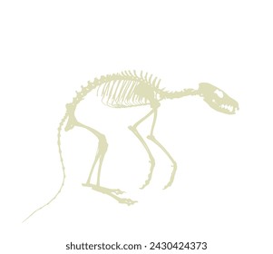 Fox skeleton vector silhouette illustration isolated on white background. Predator fossil symbol in museum of science and biology. Vulpes sign shape. Dog skeleton silhouette.