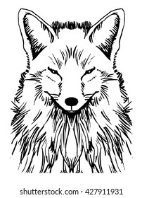 Fox sketch drawing isolated on white background
