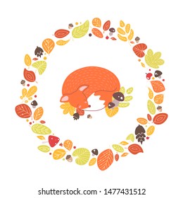 Fox sleeping inside circular frame or wreath made of fallen leaves, acorns, cones. Decorative composition with forest animal surrounded by dried foliage. Seasonal flat cartoon vector illustration.