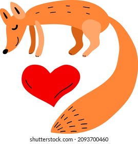 fox sleeps next to a red heart. Enamored fox.