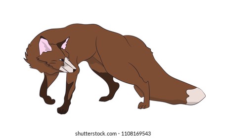 fox stands, vector, white background