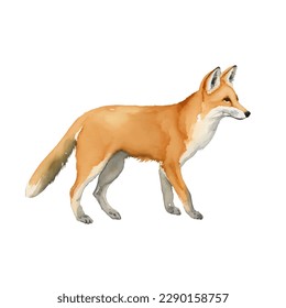 fox with style hand drawn digital painting illustration