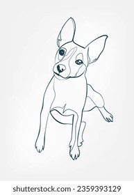 Fox Terrier dog breed animal vector line art one line sketch outline