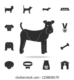 Fox Terrier dog icon. Detailed set of dog silhouette icons. Premium graphic design. One of the collection icons for websites, web design, mobile app