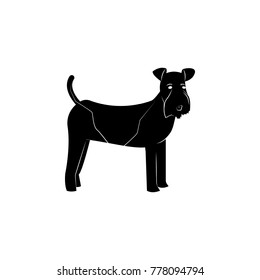 Fox Terrier dog icon. Popular Breed of dogs element icon. Premium quality graphic design icon. Dog Signs and symbols collection icon for websites, web design, mobile app on white background