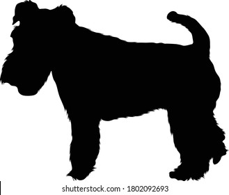 Fox Terrier Dog Silhouette Found In Map Of Europe