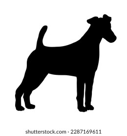 Fox terrier dog silhouette. Vector dog breeds