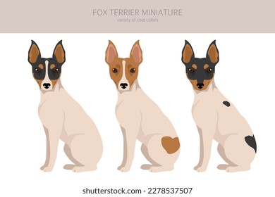 Fox Terrier miniature clipart. Different coat colors set.  Vector illustration