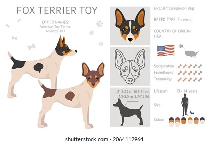 Fox Terrier Spielzeug Clip Art. Unterschiedliche Posen, Farben für die Fellfarbe.  Vektorgrafik