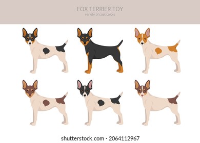 Fox Terrier Spielzeug Clip Art. Unterschiedliche Posen, Farben für die Fellfarbe.  Vektorgrafik