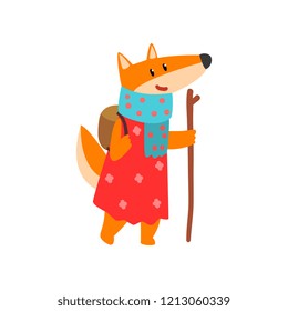 Fox travelling with backpack and staff, cute cartoon animal having hiking adventure travel or camping trip vector Illustration on a white background