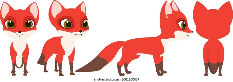 Fox turnaround for animations and design.