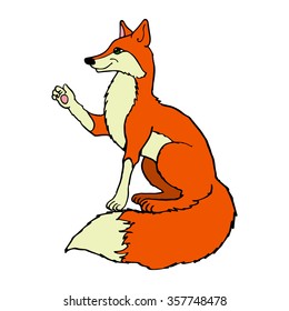 Fox vector illustration