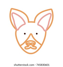 fox vector illustration
