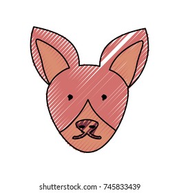  fox vector illustration