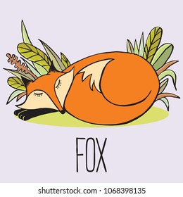
Fox vector illustration character cartoon animal hand drawing
