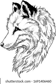 Fox  Vector illustration  Ink drawing 