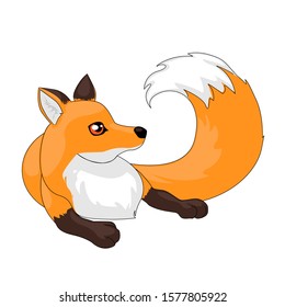 Fox vector illustration isolated on white background