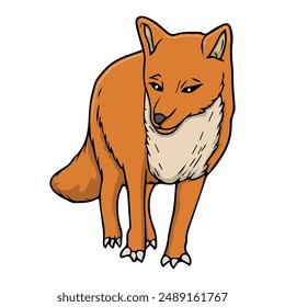 fox vector illustration,isolated on white background,top view