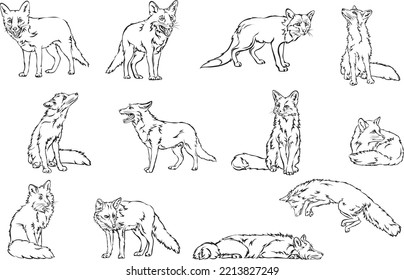 Fox, vector image of a fox, vector illustration for use in logos, signs, trademarks, for design and advertising
