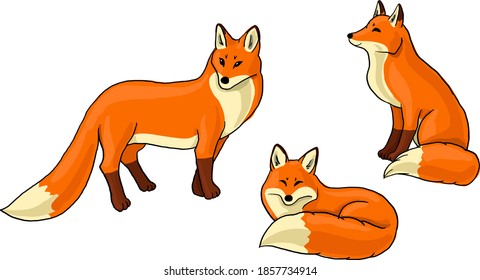 fox vector image on transparent background