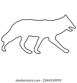 Fox vector line art in adobe illustator