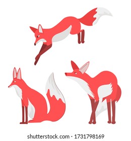 Fox Vector Set An Isolated White Background. Gentle Fox. The Glance Of Fox.