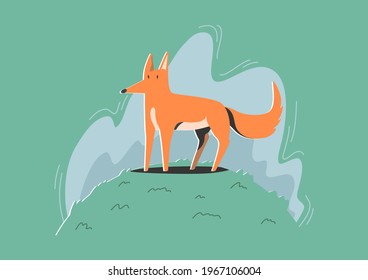 Fox vectors are used for media and design.