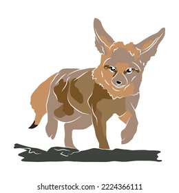 It's a fox very beautiful.