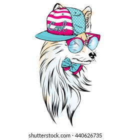 Fox is wearing a cap and sunglasses. Vector illustration.