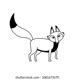 Fox wild animal on black and white