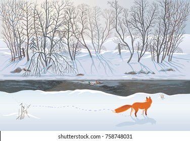 Fox In The Winter Forest Hunting A Duck