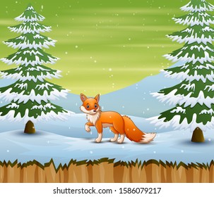 Fox in the winter forest hunting a prey