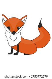 fox without background wild life